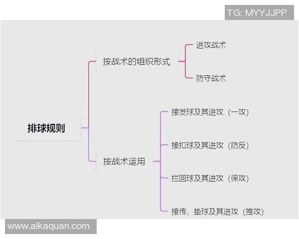 杭州排球队防反战术解析与深度剖析排球竞技的魅力与技巧