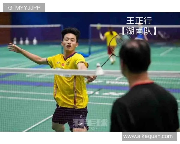 武汉羽毛球队挑战赛表现点评：经验与实力的完美结合分析